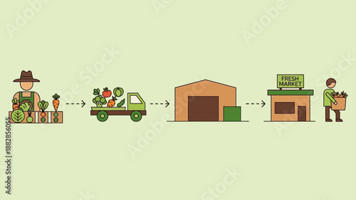 Fresh Produce Distribution Process: From Farm Harvest to Local Market Sales and Consumption