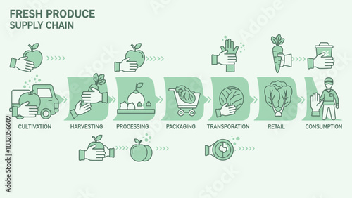 Fresh Produce Supply Chain: From Cultivation to Consumption, Illustrated and Explained