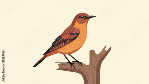 Illustration of a small, brown bird perched on a branch against a light background