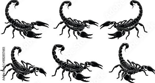 Scorpion silhouette set in different angles and poses, black vector poisonous arachnid collection for wildlife design, desert danger concept, tattoo, and emblem use.