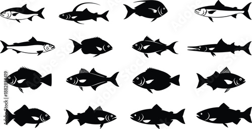 Set of fish silhouettes in different species and shapes, black freshwater and marine animal vector collection for fishing, seafood, ocean and aquarium design.