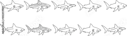 Set of shark outline drawings in different species and poses, black and white marine predator vector collection for ocean wildlife and fishing design.