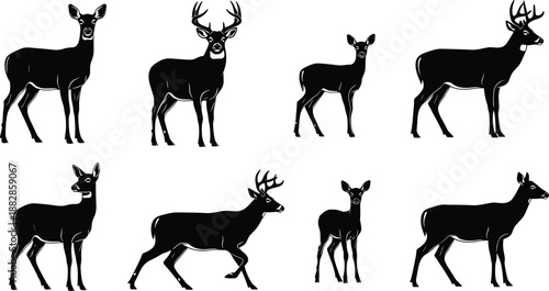 Set of deer silhouettes with bucks and does in different poses, black woodland wildlife vector collection for forest nature, hunting and logo design isolated.