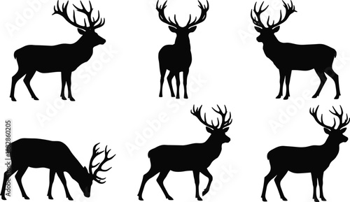 Set of deer silhouettes with antlers in multiple poses including standing, walking, and grazing, black wildlife vector collection isolated on white background.