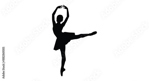 A graceful depiction of a dancer in mid performance showcasing elegance and poise through a dynamic pose silhouette high quality professional detailed