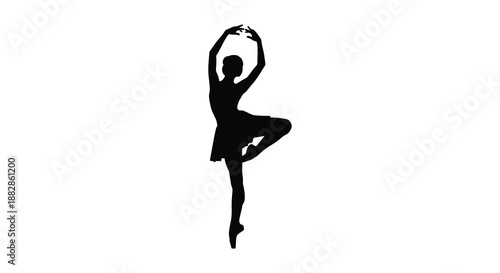 A graceful dancer captured in a dynamic pose exhibiting elegance and poise through movement presented as a striking silhouette high quality