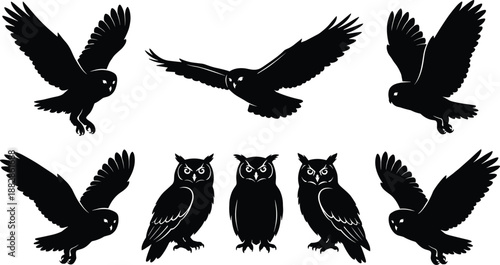 Set of owl silhouettes in flying and standing poses, black night bird icon collection for wildlife, Halloween and nature design, isolated on white.