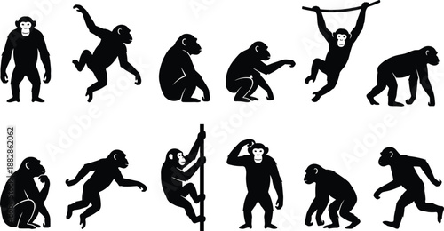 Set of monkey and ape silhouettes in different poses, walking, sitting, jumping and swinging, black primate icon collection isolated on white background.