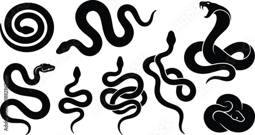 Set of snake silhouettes in different poses, coiled and crawling reptile shapes, black venom serpent icon collection isolated on white background vector.