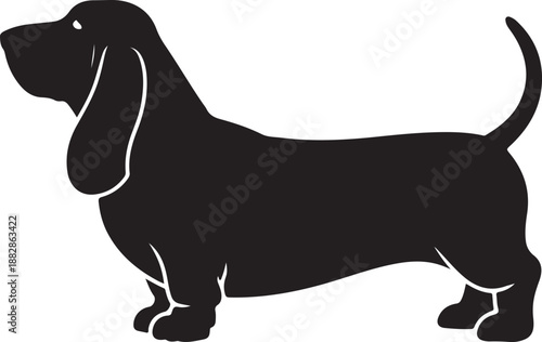 Vector black silhouette of a standing basset hound dog isolated on a white background.