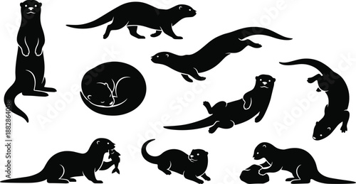 Set of otter silhouettes in different poses, cute wild animal collection including swimming, standing, sleeping and playing, isolated on white background.