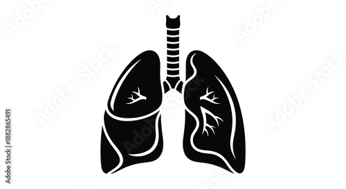A detailed depiction of human lungs showcasing bronchial structures and lobes presented as a stark black silhouette high quality professional modern