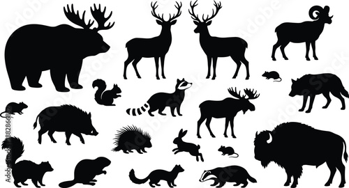 Set of forest animal silhouettes including bear, deer, moose, wolf, raccoon and bison, black wildlife collection isolated on white background.