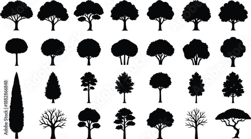 Set of tree silhouettes in many shapes including deciduous and cypress forms, black forest nature collection isolated on white background for landscape design.