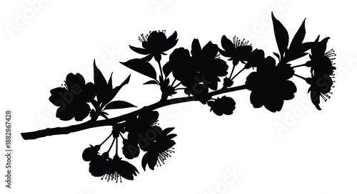 A striking black floral branch illustration presents a delicate bloom arrangement showcasing the beauty of nature in a bold silhouette