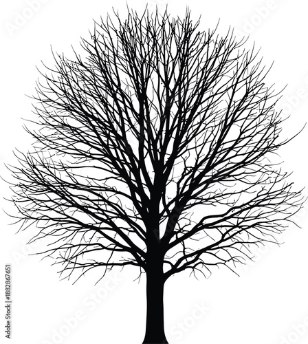 Tow truck silhouette collection, roadside assistance vehicle icons set, emergency car recovery transport service, flatbed tow truck and crane hook vector illustration, black.