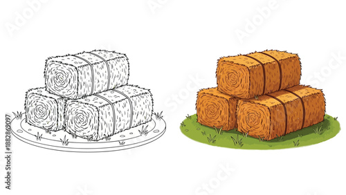 a detailed black and white sketch alongside a color illustration depicting stacked hay bales on a grassy surface