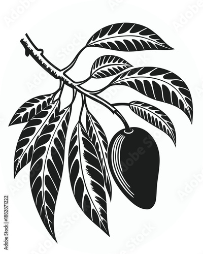 Black and white illustration of a mango branch with leaves and fruit in a circle tree