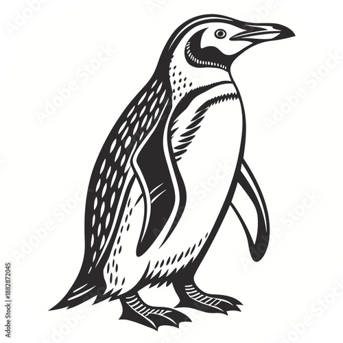 Black And White Illustration Of A Penguin Standing animal bird