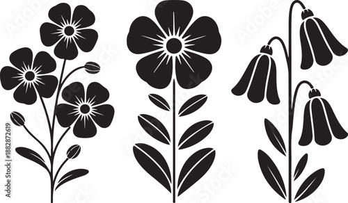 Vector black silhouettes of flowers isolated on a white background.