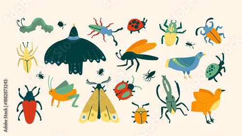 Artistic wildlife graphics collection of colorful insects and birds with hand drawn texture