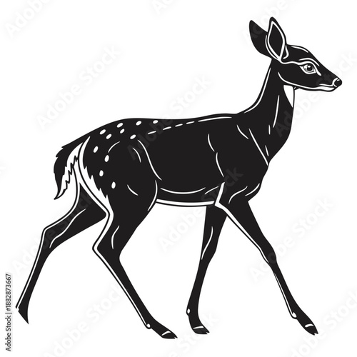 Black silhouette of a young deer with spots walking gracefully fawn animal