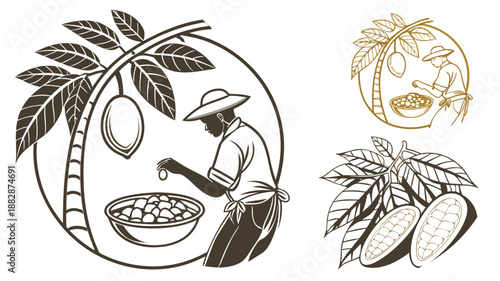 Cocoa farmer harvesting beans and cocoa pods on branches illustration cacao