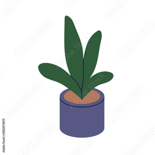 Houseplant in pot. Green leaf plant growing in flowerpot. Decorative home int...