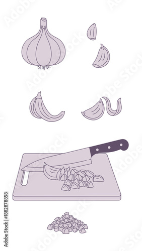 Illustrated Culinary Exploration: Preparing Fresh Garlic for Delicious Cooking Adventures