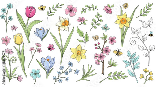 Collection of Hand Drawn Spring Flowers and Botanicals.