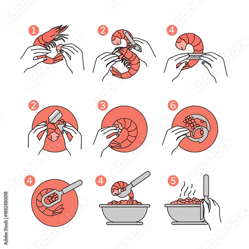 Illustrated Shrimp Preparation Steps: A Visual Guide for Delicious Seafood Cuisine