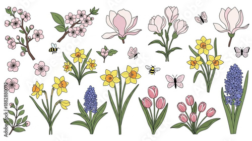 Spring Flowers Collection Botanical Illustration.