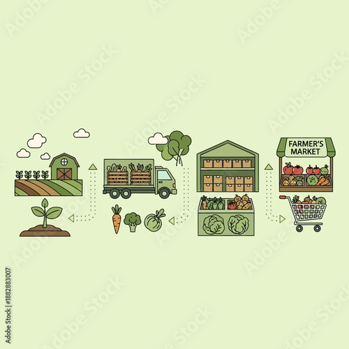 Illustration Depicting Agricultural Process: From Seedling to Farmer's Market Distribution and Sale