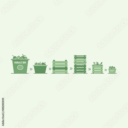 Illustration Of A Produce Collection Process From Harvest Bins To Storage Crates