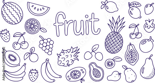 Hand Drawn Fruit Vector Set – Tropical and Fresh Fruits Illustration, Healthy Food Outline Art