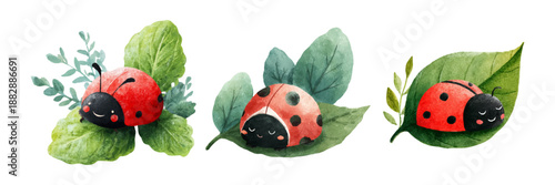 Watercolor set of cute ladybugs. Cartoon ladybugs with cute faces sitting on a green leaf. Children's insect characters. Vector illustration.