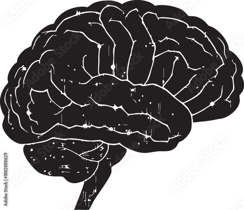 Stylized black and white illustration of a human brain showing anatomical detail and cognitive function lines