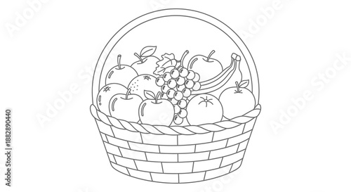 A detailed line drawing illustrates a woven basket brimming with various fruits like apples bananas and grapes silhouette high quality professional