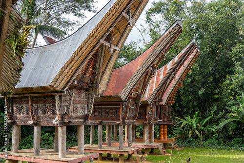 Traditional Toraja houses with buffalo horns, Sulawesi, Indonesia