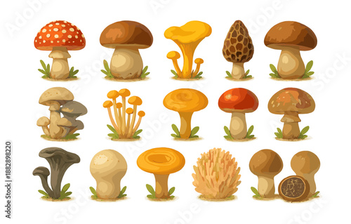 Collection of different mushrooms on white background: variety of fungi in flat style