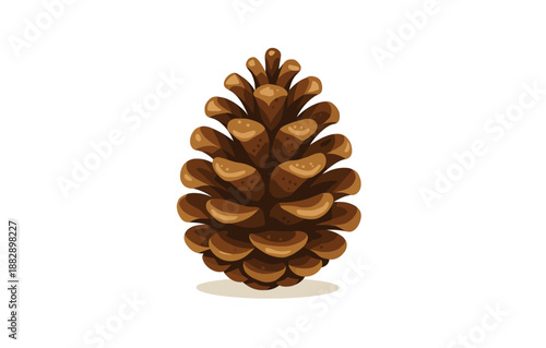 Realistic pine cone on white background with subtle shadow