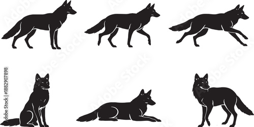 Coyote Slim Canid Black and White Silhouette Bundle