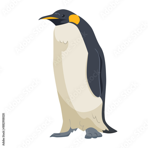 Emperor penguin standing upright facing left, flat cartoon style, isolated on white background. Concept of wildlife and Antarctic animals. Vector illustration