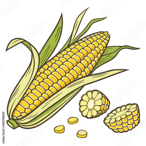Fresh Corn Cob with Yellow Kernels on White Background