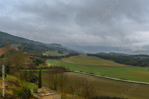 View from an elevated position of a rural cemetery entrance marked by an old elm tree, overlooking a wide plain framed by forests and distant mountains under a heavy overcast sky suggesting approachin