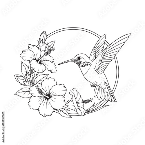 Hummingbird feeding on hibiscus flowers in circle frame