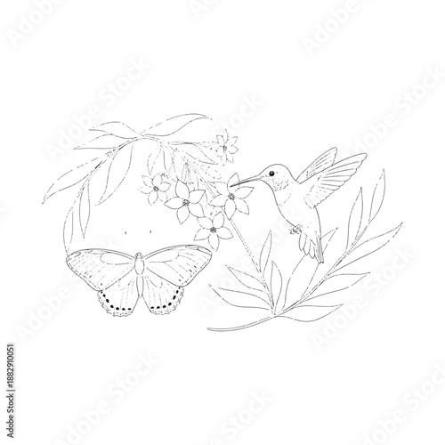 Hummingbird and butterfly feeding on floral nectar