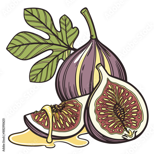 Fresh Fig with Premium Honey Drizzle Food Styling