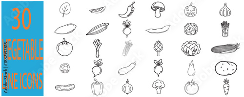 Vegetable line icons set with fresh organic garden food collection