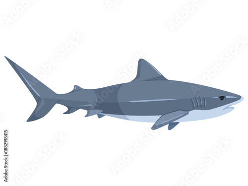 Cartoon-style blue shark swimming, flat graphic style, isolated on white background. Concept of marine life and underwater animals. Vector illustration